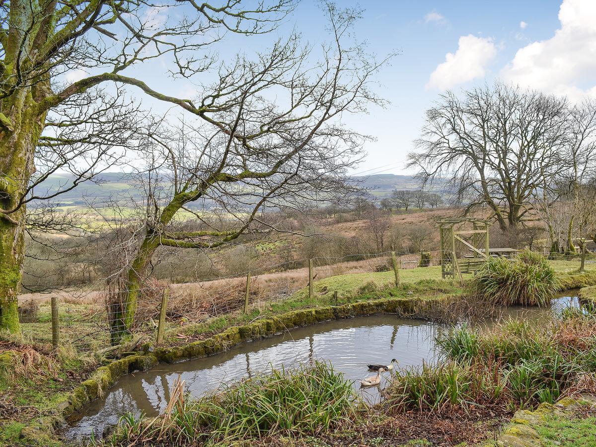 Swallow Barn Llanwrtyd Wells ภายนอก รูปภาพ